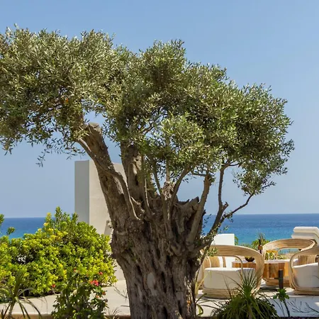 Villa Beachfront Villla Mimosa