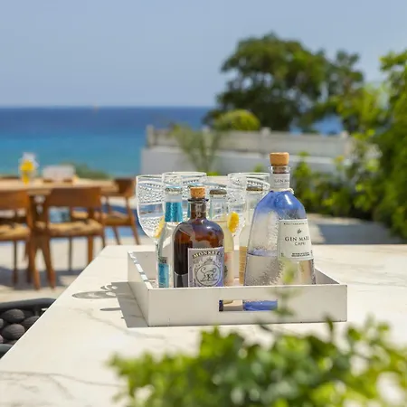 Villa Beachfront Villla Mimosa
